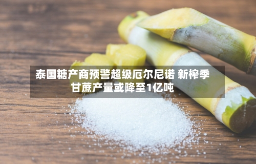 泰国糖产商预警超级厄尔尼诺 新榨季甘蔗产量或降至1亿吨-第2张图片