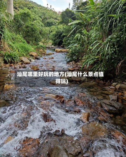 汕尾哪里好玩的地方(汕尾什么景点值得玩)