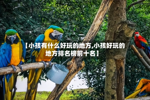 【小孩有什么好玩的地方,小孩好玩的地方排名榜前十名】