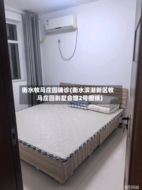 衡水牧马庄园确诊(衡水滨湖新区牧马庄园别墅会馆2号图纸)-第2张图片