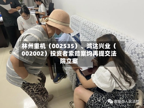 林州重机（002535）	、鸿达兴业（002002）投资者索赔案均再提交法院立案-第3张图片