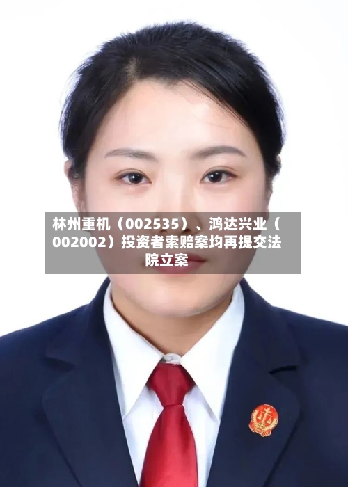 林州重机（002535）、鸿达兴业（002002）投资者索赔案均再提交法院立案-第2张图片
