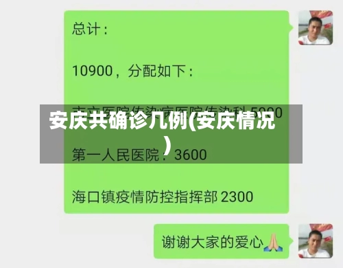 安庆共确诊几例(安庆情况)