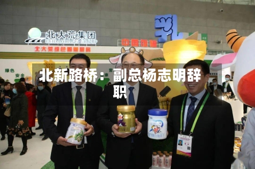 北新路桥：副总杨志明辞职