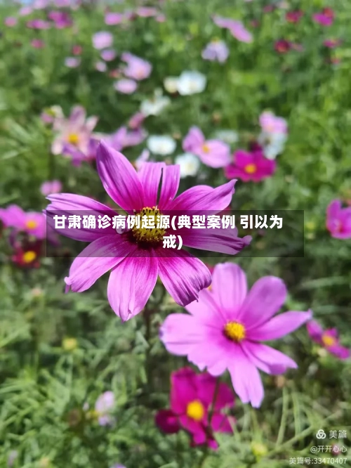 甘肃确诊病例起源(典型案例 引以为戒)-第3张图片