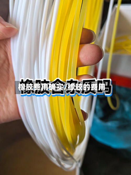 橡胶费用确实/橡胶的费用-第2张图片