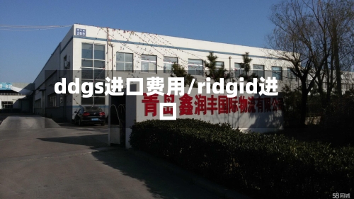 ddgs进口费用/ridgid进口