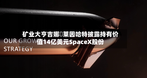 矿业大亨吉娜・莱因哈特披露持有价值14亿美元SpaceX股份-第2张图片