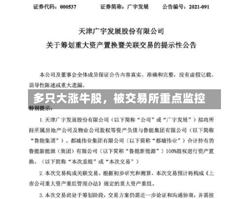 多只大涨牛股	，被交易所重点监控-第2张图片