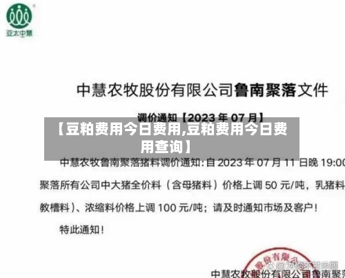 【豆粕费用今日费用,豆粕费用今日费用查询】-第3张图片
