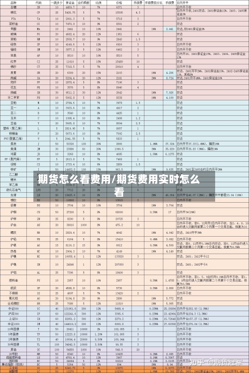期货怎么看费用/期货费用实时怎么看