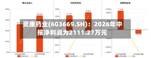 灵康药业(603669.SH):2026年中报净利润为2111.27万元-第2张图片