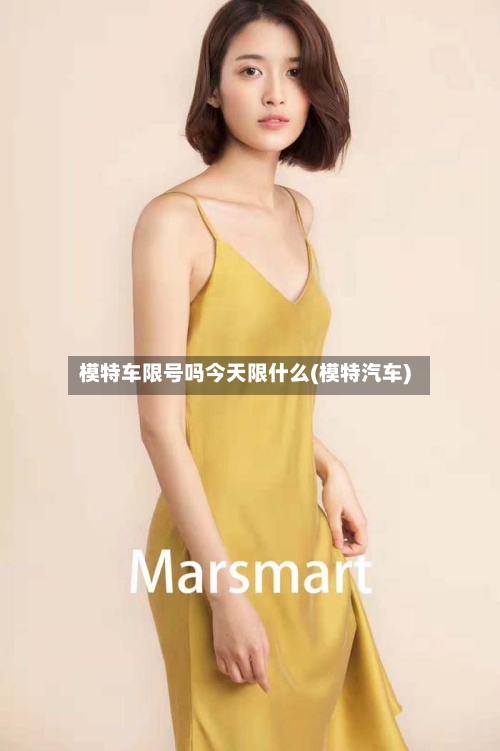 模特车限号吗今天限什么(模特汽车)