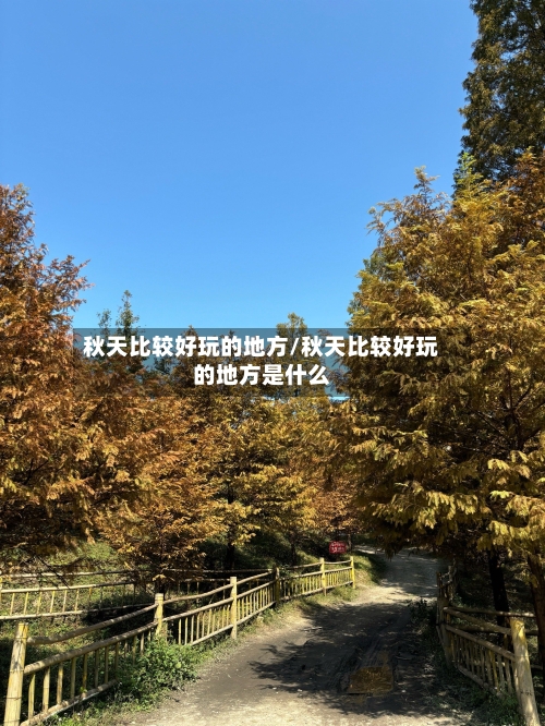 秋天比较好玩的地方/秋天比较好玩的地方是什么-第2张图片