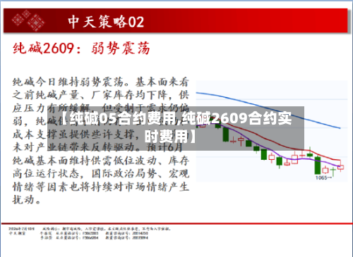 【纯碱05合约费用,纯碱2609合约实时费用】