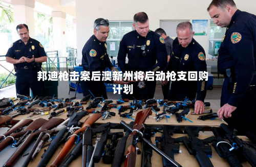 邦迪枪击案后澳新州将启动枪支回购计划-第2张图片