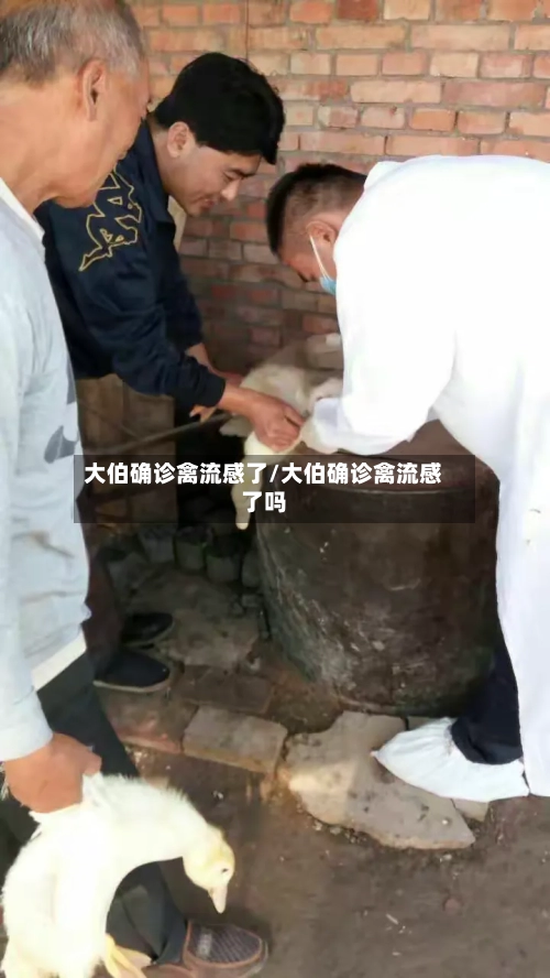大伯确诊禽流感了/大伯确诊禽流感了吗