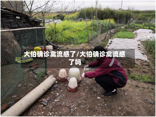 大伯确诊禽流感了/大伯确诊禽流感了吗-第3张图片