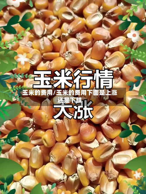 玉米的费用/玉米的费用下面是上涨还是下跌