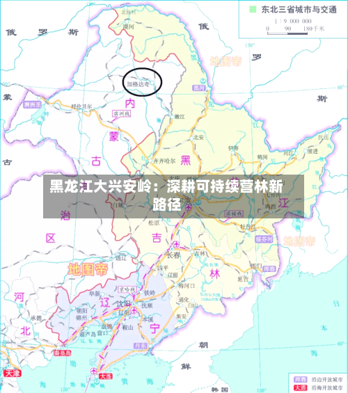 黑龙江大兴安岭:深耕可持续营林新路径-第2张图片