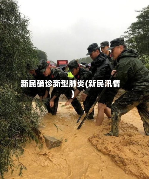 新民确诊新型肺炎(新民汛情)