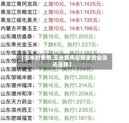 【玉米时费用,玉米费用后期走势会涨还是跌】-第2张图片