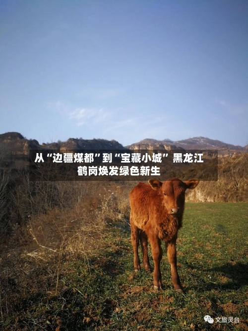 从“边疆煤都	”到“宝藏小城” 黑龙江鹤岗焕发绿色新生-第2张图片