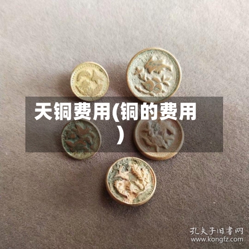 天铜费用(铜的费用)-第2张图片