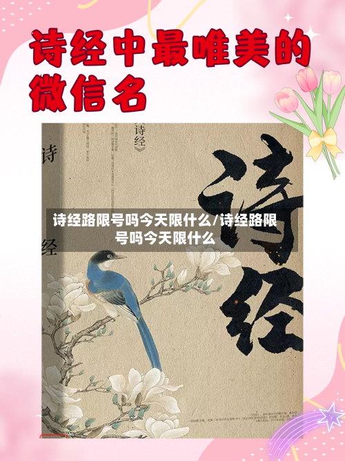 诗经路限号吗今天限什么/诗经路限号吗今天限什么
