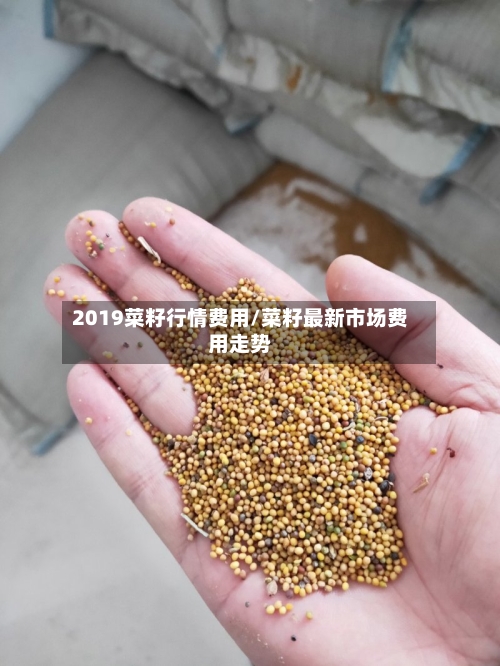 2019菜籽行情费用/菜籽最新市场费用走势