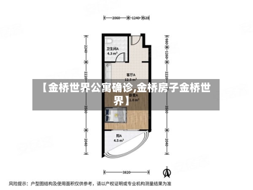 【金桥世界公寓确诊,金桥房子金桥世界】
