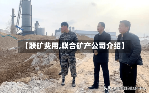 【联矿费用,联合矿产公司介绍】