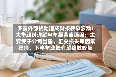 多重外部扰动造成财报表象波动！大华股份详解半年报背离原因：主要受子公司出售、汇兑损失等因素影响	，下半年业绩有望稳健修复-第2张图片