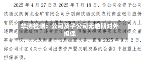 华测检测：公司及子公司无逾期对外担保-第3张图片