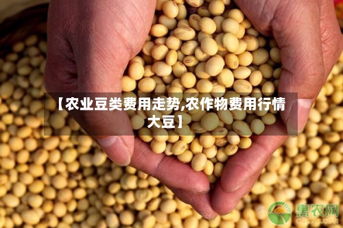 【农业豆类费用走势,农作物费用行情大豆】-第2张图片