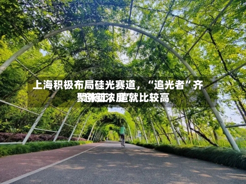 上海积极布局硅光赛道	，“追光者	”齐聚张江，造就比较高“创新浓度”-第2张图片