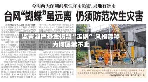 监管趋严基金仍频“走偏	” 风格漂移为何屡禁不止-第2张图片