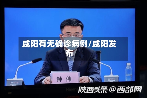 咸阳有无确诊病例/咸阳发布-第3张图片