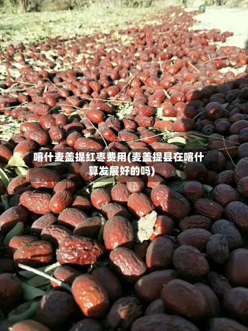 喀什麦盖提红枣费用(麦盖提县在喀什算发展好的吗)-第2张图片