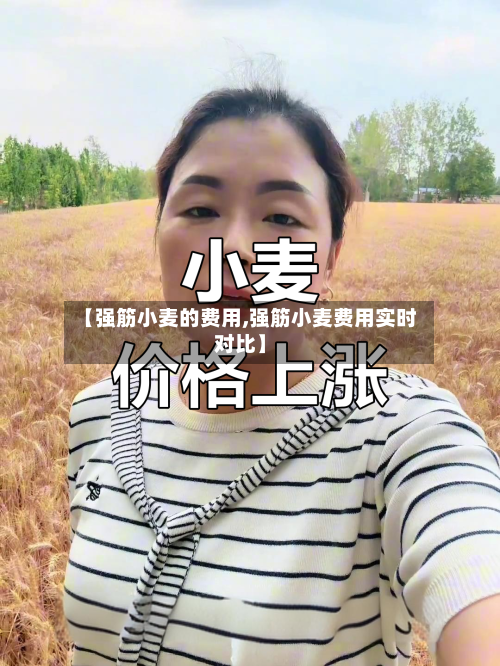 【强筋小麦的费用,强筋小麦费用实时对比】