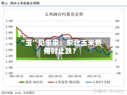 “玉”见未来：东北玉米费用何时止跌？-第1张图片