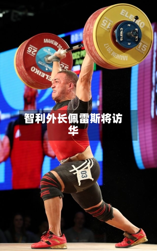 智利外长佩雷斯将访华