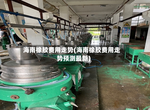 海南橡胶费用走势(海南橡胶费用走势预测最新)
