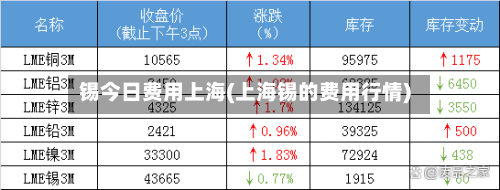 锡今日费用上海(上海锡的费用行情)