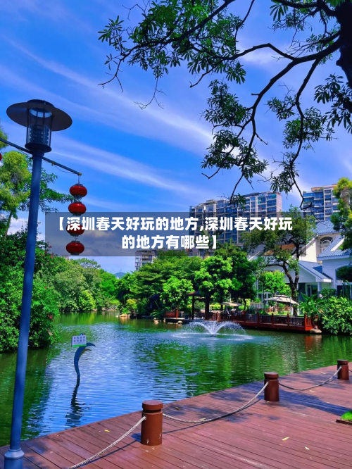 【深圳春天好玩的地方,深圳春天好玩的地方有哪些】-第3张图片