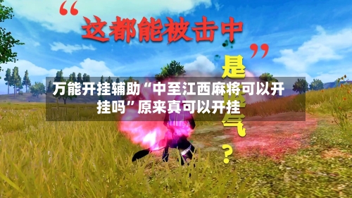 万能开挂辅助“中至江西麻将可以开挂吗”原来真可以开挂-第2张图片