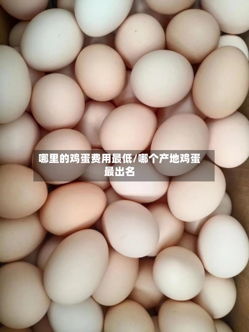 哪里的鸡蛋费用最低/哪个产地鸡蛋最出名