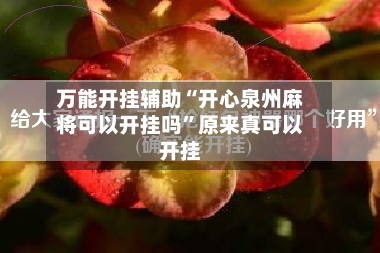 万能开挂辅助“开心泉州麻将可以开挂吗”原来真可以开挂-第2张图片