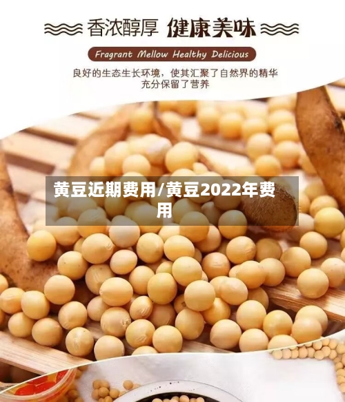 黄豆近期费用/黄豆2022年费用
