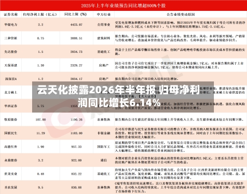 云天化披露2026年半年报 归母净利润同比增长6.14%-第2张图片